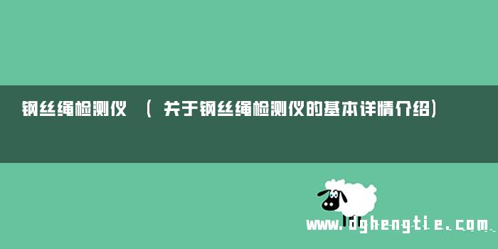 钢丝绳检测仪 (关于钢丝绳检测仪的基本详情介绍)